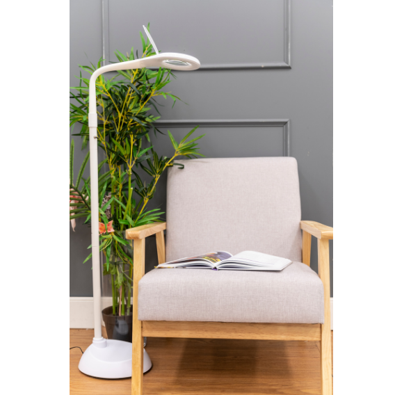 Buy Library Floor Lamp Online in New Zealand