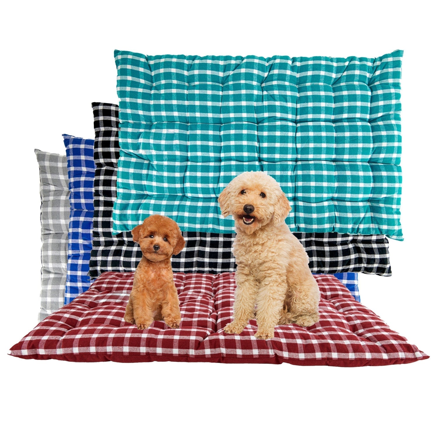 Pet Accessories