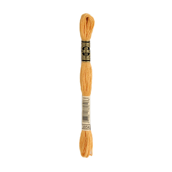 DMC Stranded Cotton Embroidery Thread, 3800-5200