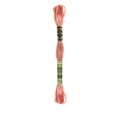 DMC Stranded Cotton Embroidery Thread, 700-801