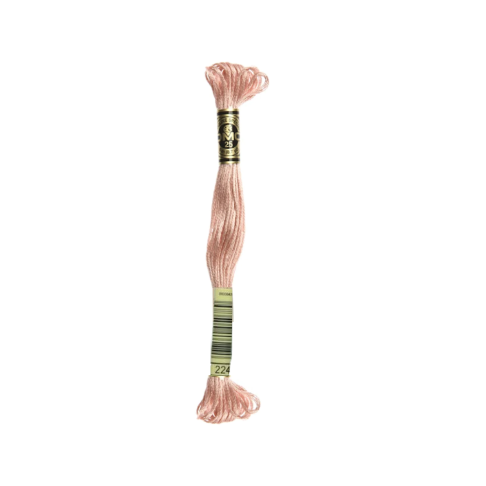 DMC Stranded Cotton Thread, 100-299