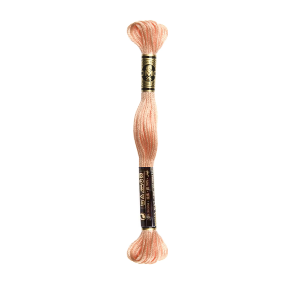 DMC Stranded Cotton Embroidery Thread, 300-399
