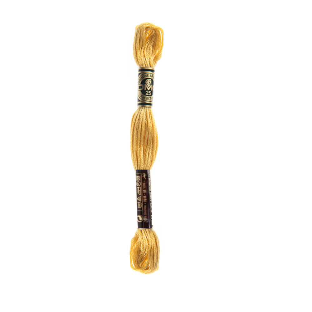 DMC Stranded Cotton Embroidery Thread, 3800-5200