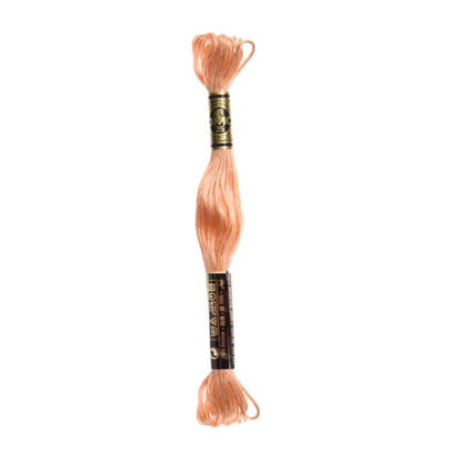 DMC Stranded Cotton Embroidery Thread, 3800-5200