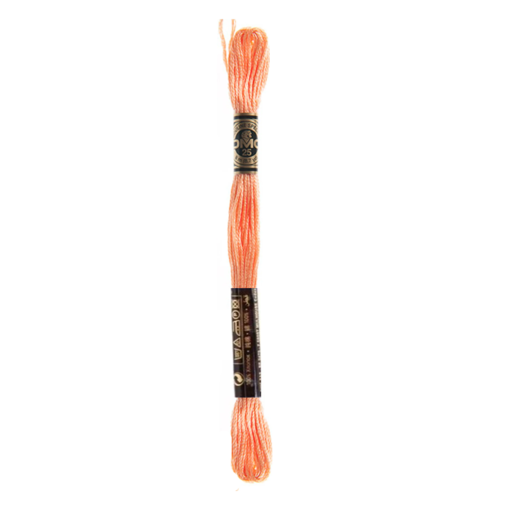 DMC Stranded Cotton Embroidery Thread, 3800-5200