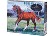 1000-Piece Jigsaw Puzzle Beauty of Horses Cantering