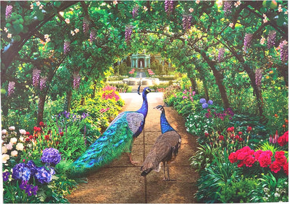 Peacock Pathway Jigsaw Puzzle, 1000-Piece