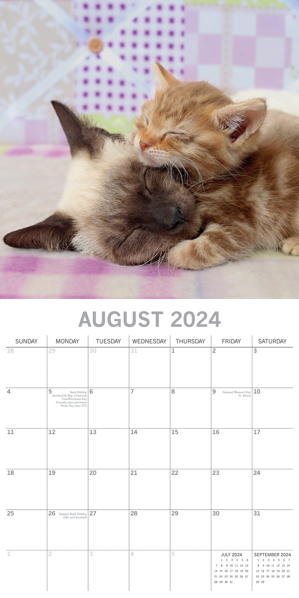 2024 Wall Calendars, Cats & Kittens- 12x12in – Lincraft New Zealand
