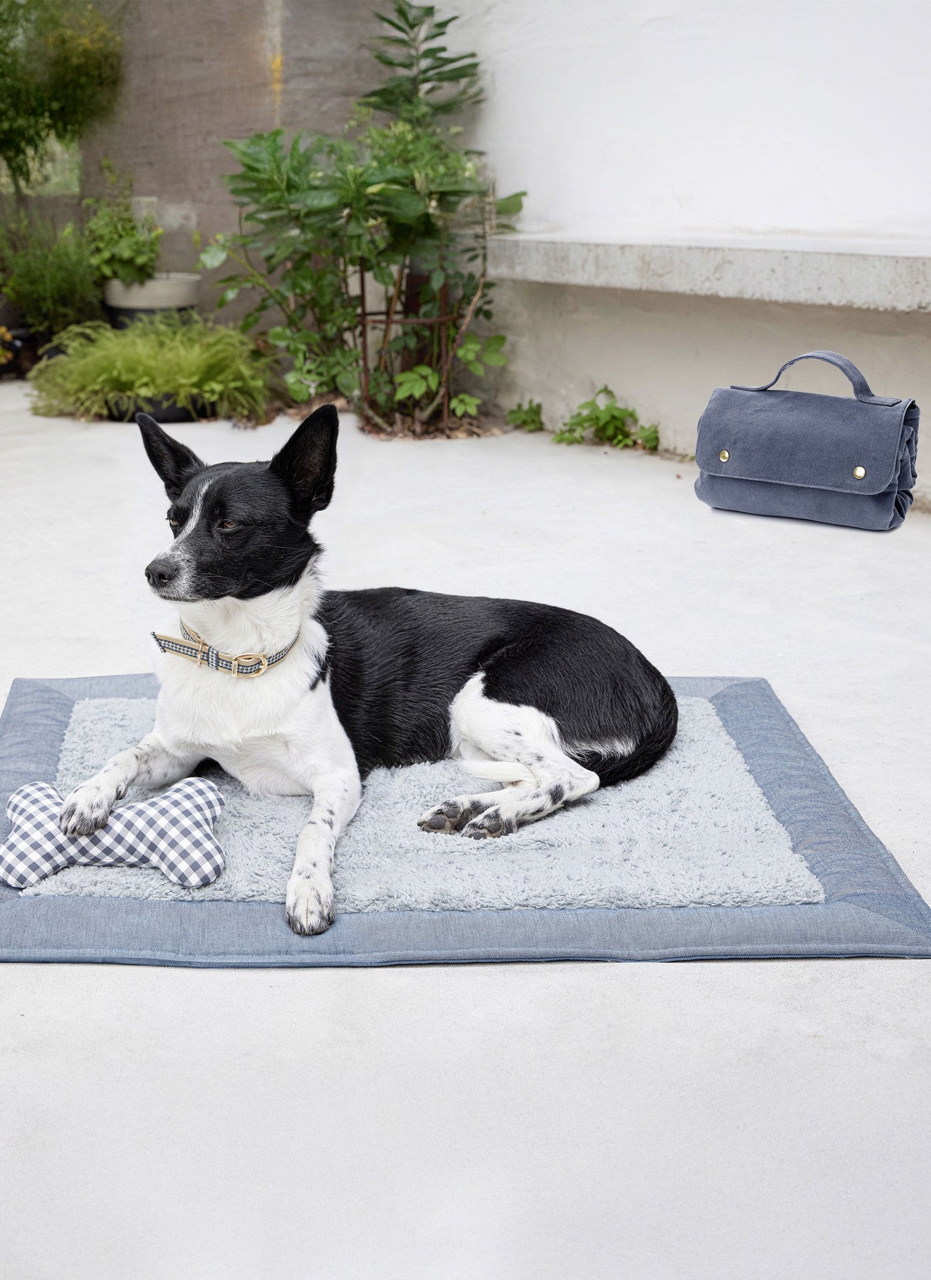 Burda Pattern 5702 Pet Accessories