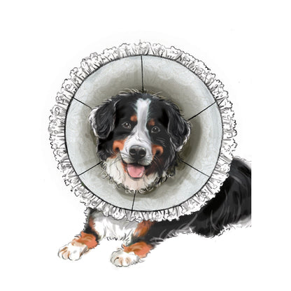 Simplicity Pattern SS9582 Pet Elizabethan Collars by Carla Reiss