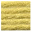 Sullivans Tapestry Wool, Anc/8016 Dmc/7470- 8m