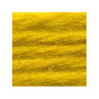Sullivans Tapestry Wool, Anc/8096 Dmc/7785- 8m