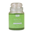 Formr Scented Candle, Cucumber Cilantro- 567g