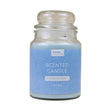 Formr Scented Candle, Harbour Mist- 567g