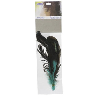 2g Craft Feathers: Black