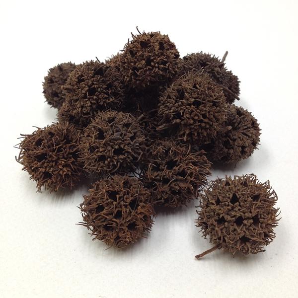 Arbee Spiky Pods- Assorted